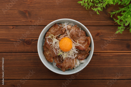 豚丼 photo