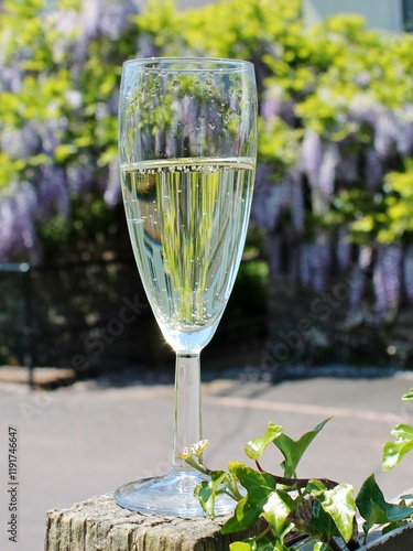 Champayne glass celebrate wisteria photo