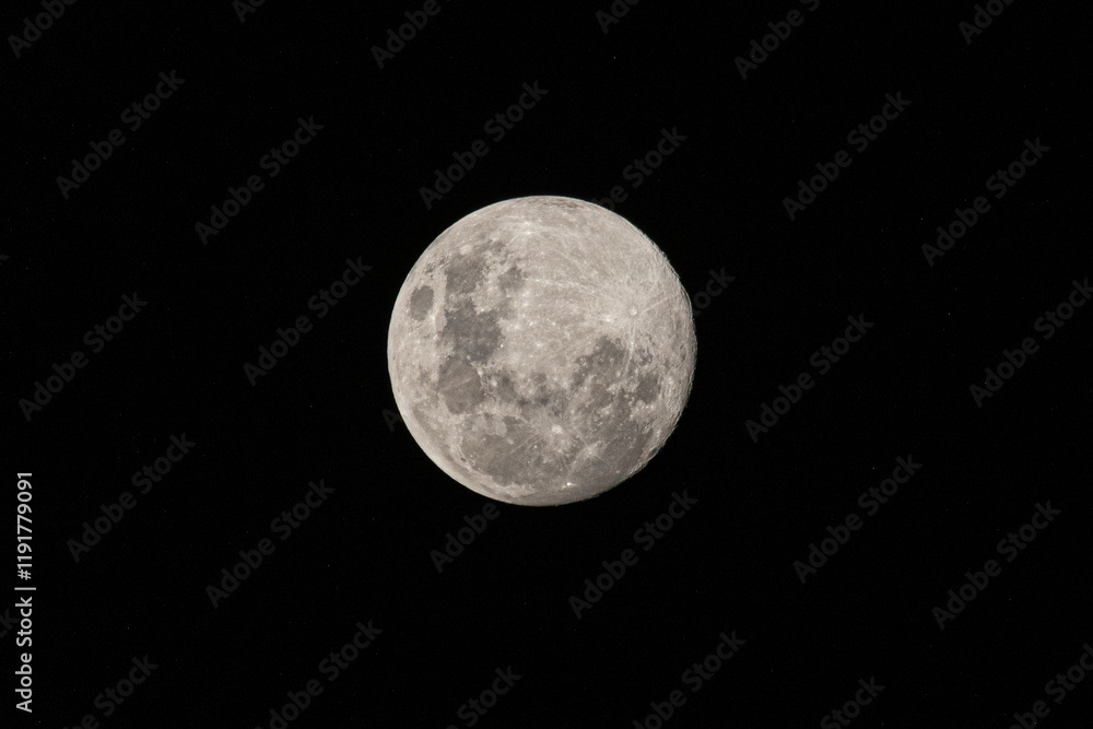 Fototapeta premium full moon in the night 1