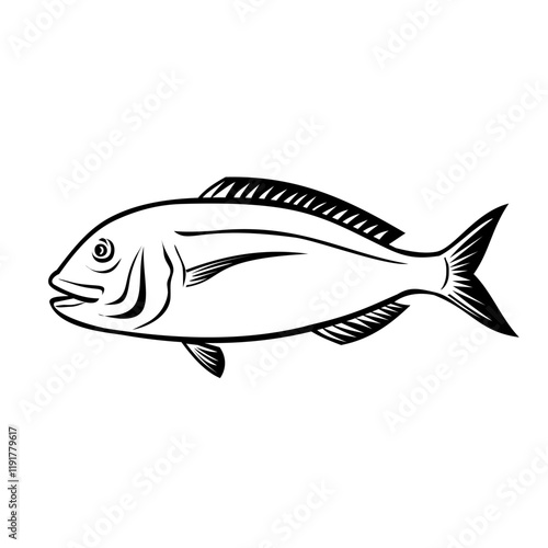 Retro style illustration of an Akashi sea bream, a red variety of sea bream caught in the sea off Akashi City, Hyogo Prefecture, Japan viewed from side on isolated background in black and white.