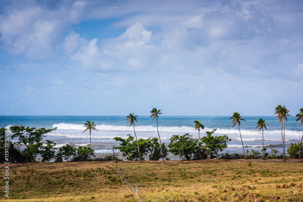 Lawn bordered by palm trees looking out to Play Maria (Maria Beach) in Rincon, Puerty Rico. Lawn bordered by palm trees looking out to Play Maria (Maria Beach) in Rincon, Puerty Rico.