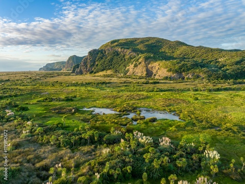 Aerial view of a lush New Zealand coastal wetland, showcasing diverse flora and tranquil water features. Coastal vegetation and mountains in the background. WHATIPU, AUCKLAND, NEW ZEALAND