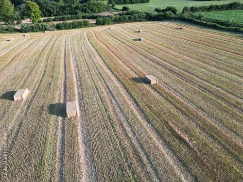 Aerial view of a field freshly cut to make straw bales - Vue aérienne d'un champ fraichement coupé pour faire des bottes de paille photo