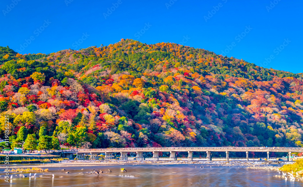 Fototapeta premium 京都・紅葉の嵐山