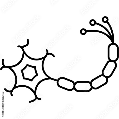 Neuron