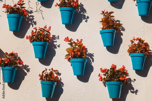 Marbella, andalucia, spain, viveros