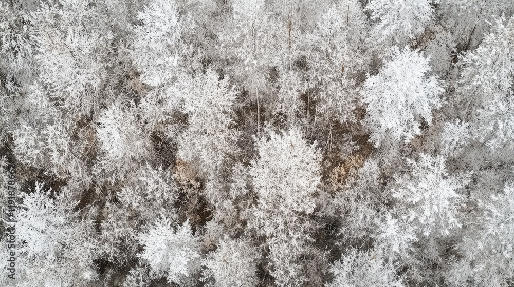 A frozen forest from above, white treetops mixed with thawing patches signaling the start of spring. A frozen forest from above, white treetops mixed with thawing patches signaling the start of spring.