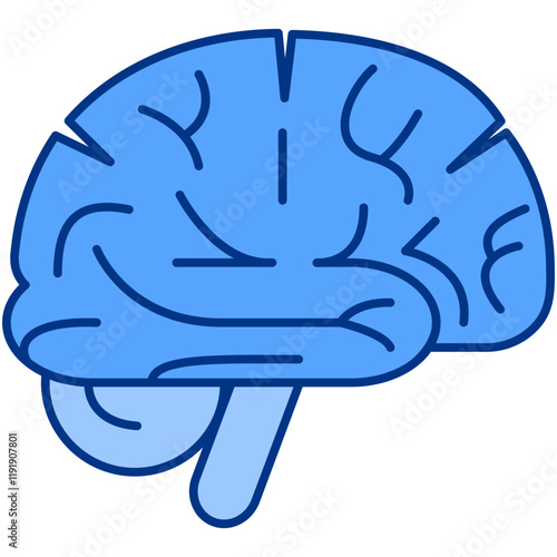 Brain