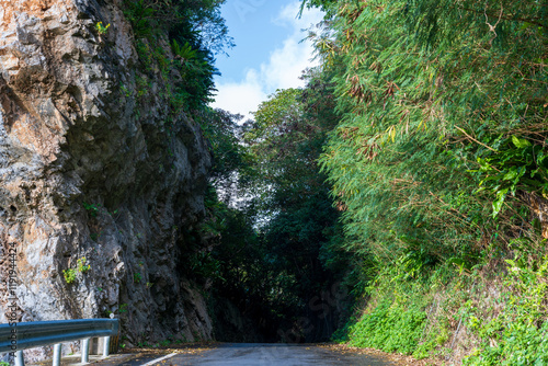 日本の沖縄県国頭村の大石林山の美しい風景 photo