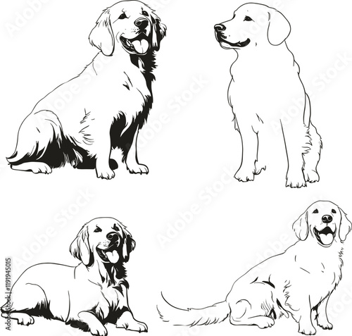 Golden Retriever Dog Vector Illustration - Isolated on White Background