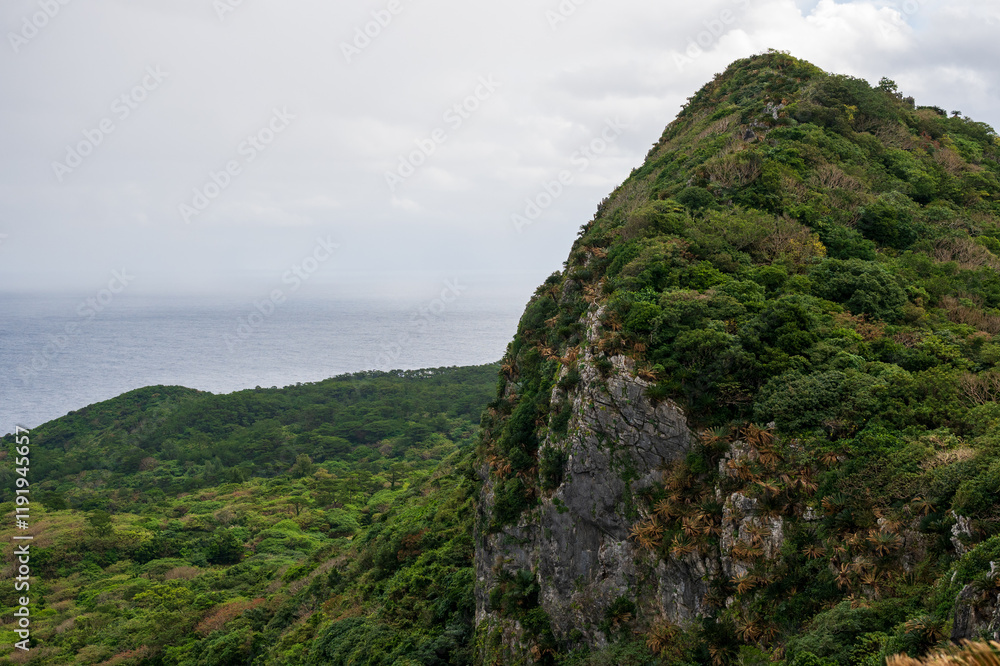 日本の沖縄県国頭村の大石林山の美しい風景 日本の沖縄県国頭村の大石林山の美しい風景