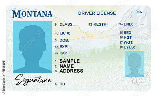 Montana driver's license isolated on white background. Person driver license.