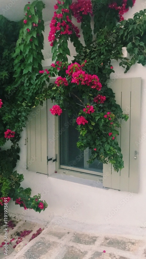 window, house, wall, flower, flowers, architecture, building, old, exterior, europe, plant, balcony, garden, town, decoration, summer, france, greek, greece window, house, wall, flower, flowers, architecture, building, old, exterior, europe, plant, balcony, garden, town, decoration, summer, france, greek, greece