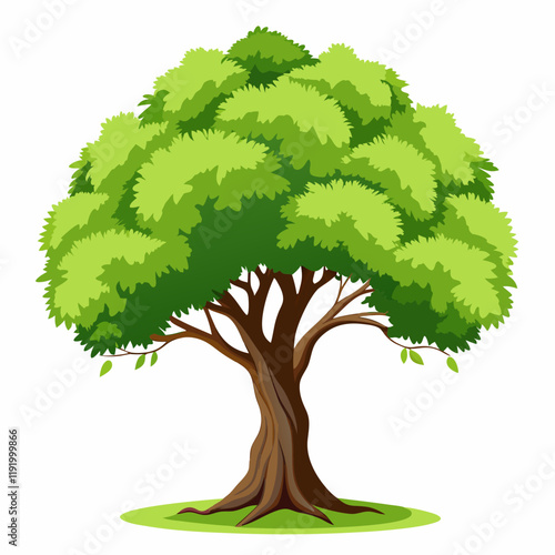 A lush green tree canopy with dense foliage.