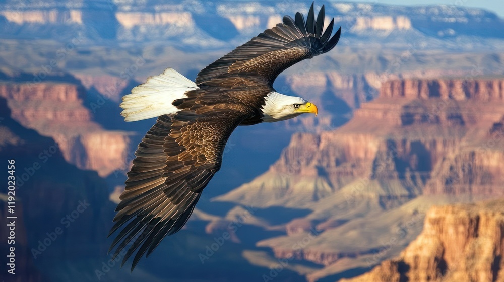 Fototapeta premium Majestic bald eagle in flight over a vast canyon landscape.