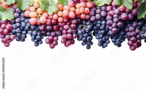 Wallpaper Mural Colorful grape harvest border, studio shot Torontodigital.ca