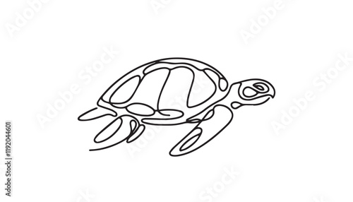 illustration of turtle