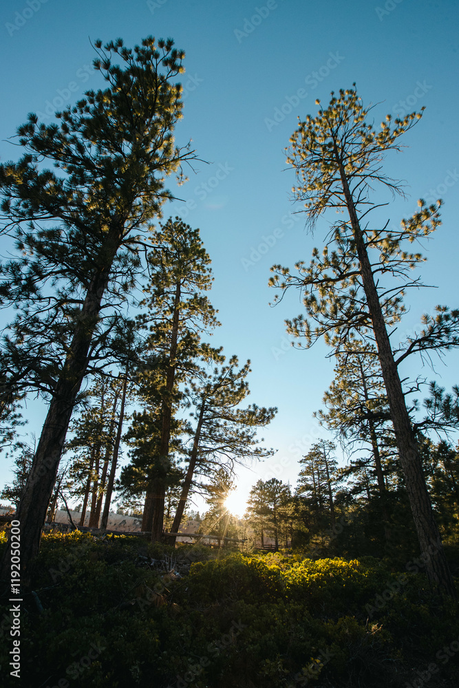 Fototapeta premium Landscapes + Travel