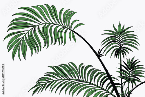 tropical palm fronds, vibrant green leaves, botanical illustration, white background, detailed leaf texture, natural light, photorealistic, high contrast, isolated plant specimen, lush foliage, archin