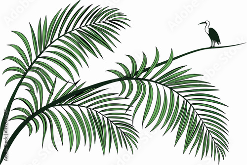 tropical palm fronds, vibrant green leaves, botanical illustration, white background, detailed leaf texture, natural light, photorealistic, high contrast, isolated plant specimen, lush foliage, archin