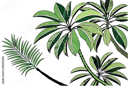 tropical palm fronds, vibrant green leaves, botanical illustration, white background, detailed leaf texture, natural light, photorealistic, high contrast, isolated plant specimen, lush foliage, archin