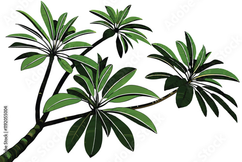 tropical palm fronds, vibrant green leaves, botanical illustration, white background, detailed leaf texture, natural light, photorealistic, high contrast, isolated plant specimen, lush foliage, archin