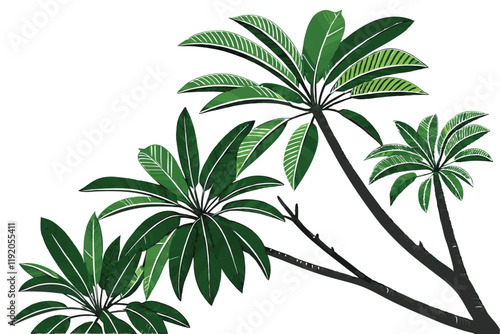 tropical palm fronds, vibrant green leaves, botanical illustration, white background, detailed leaf texture, natural light, photorealistic, high contrast, isolated plant specimen, lush foliage, archin