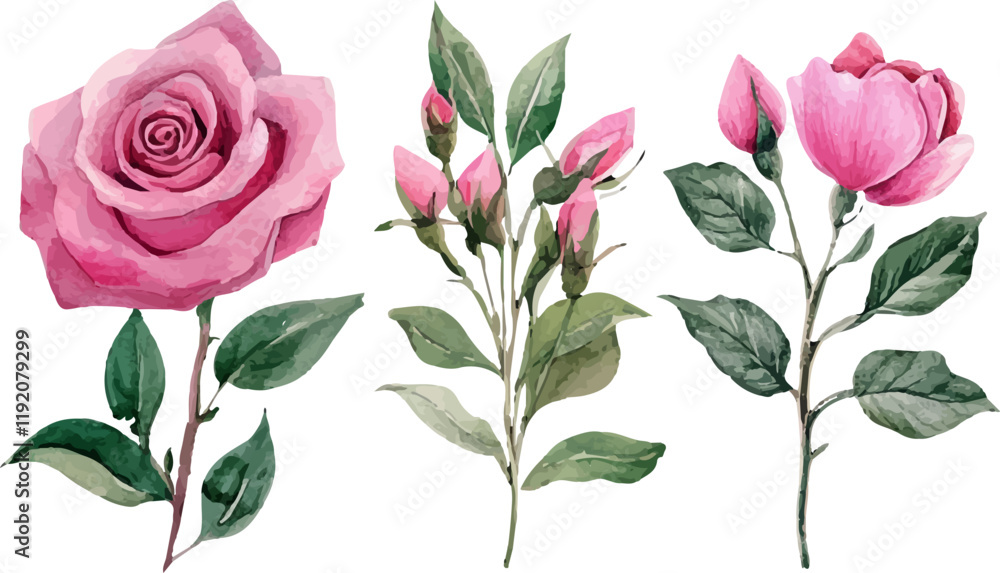 pink rose with leaves pink rose with leaves