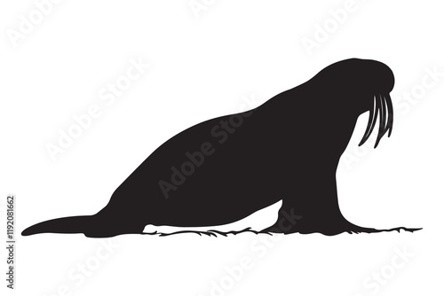 Walrus Silhouette Vector illustration