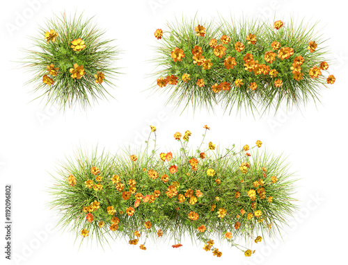 Fotografie Top view yellowed flowers blossoms meadow row set transparent backgrounds 3d ill