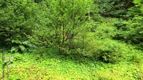 Scenic Walk Along Glengoyne Canal photo