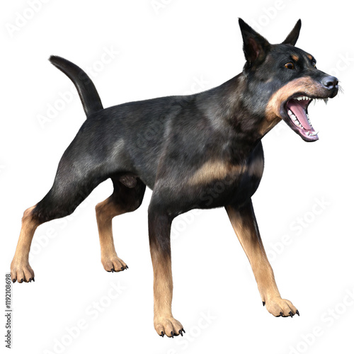 Angry doberman dog stands growling. 3d rendering on transparent background, no AI used