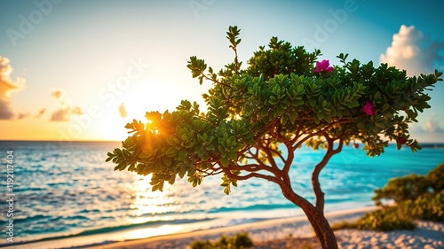 Aruba Sunset Fofoti Tree Beach - Stunning Caribbean Scene photo