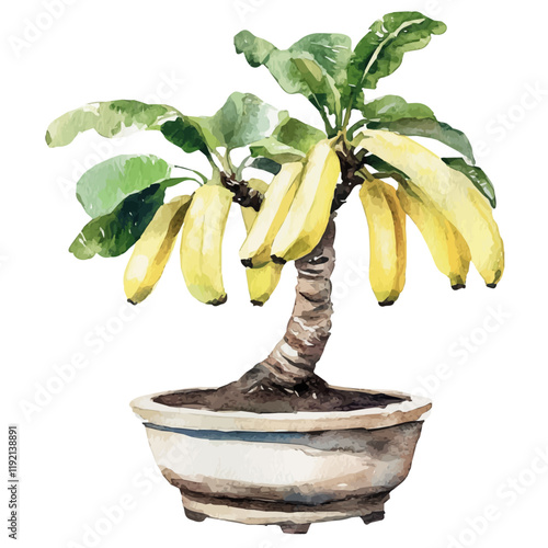 A watercolor drawing of a Banana Bonsai, isolated on a white background. Banana Bonsai vector.
