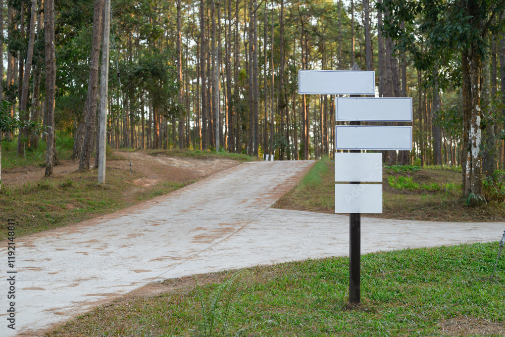 Forest pathway with blank multi directional signpost. Travel, adventure and navigation concepts. Forest pathway with blank multi directional signpost. Travel, adventure and navigation concepts.
