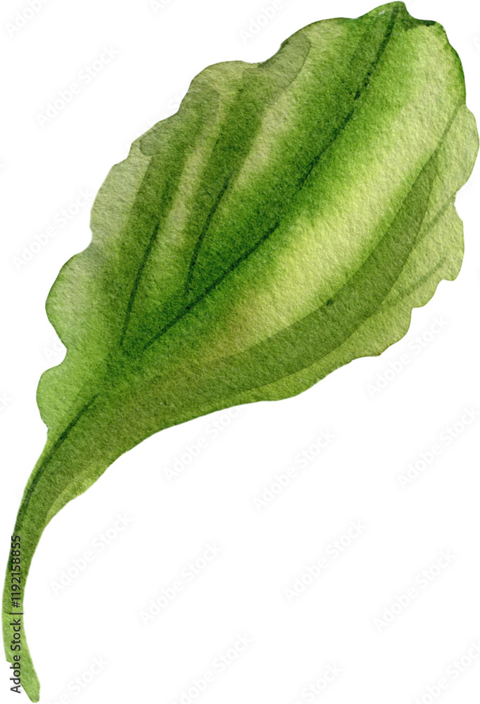 Fototapeta premium Beautiful Flower Clipart Vector Illustration - Floral Design for Graphics