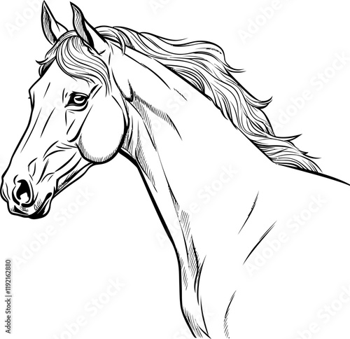 Handdrawn horse sketch