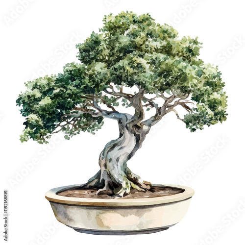 A watercolor drawing of an Australian Bottle Tree Bonsai, isolated on a white background. Australian Bottle Tree Bonsai vector.
