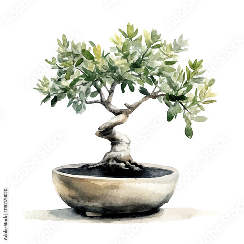 A watercolor drawing of an Australian Bottle Tree Bonsai, isolated on a white background. Australian Bottle Tree Bonsai vector.
