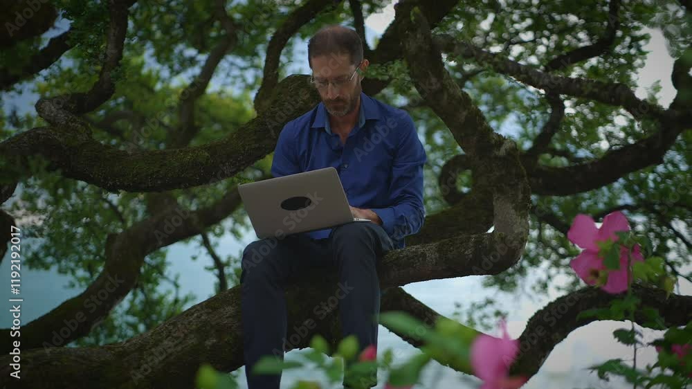 Creative Workspace in Nature A Person Working on a Laptop While Sitting in a Tree Creative Workspace in Nature A Person Working on a Laptop While Sitting in a Tree
