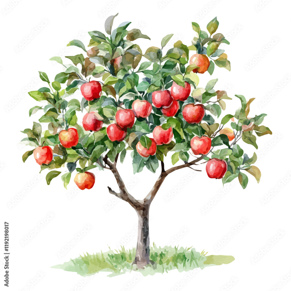 A watercolor clipart of an apple tree, featuring ripe apples hanging from the branches amidst a scenic rural background.
A watercolor clipart of an apple tree, featuring ripe apples hanging from the branches amidst a scenic rural background.