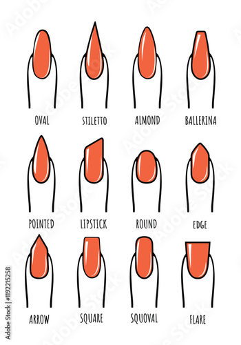  types of nails manicure vector sketch. collection of nail shapes vector drawing. female finger with red nails vector sketches for nail shapes photo