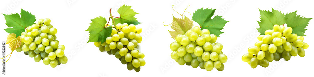 Four bunches of green grapes isolated on black background Four bunches of green grapes isolated on black background