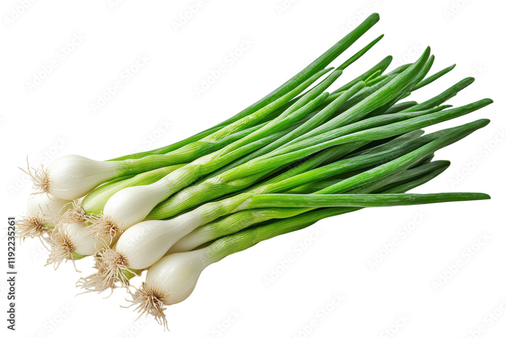 Fresh green onions arranged neatly for culinary use in a kitchen setting Fresh green onions arranged neatly for culinary use in a kitchen setting