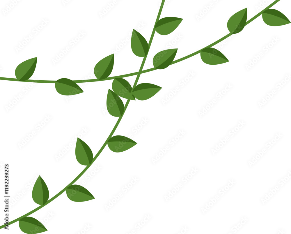 Vine Leaf Corner Vine Leaf Corner
