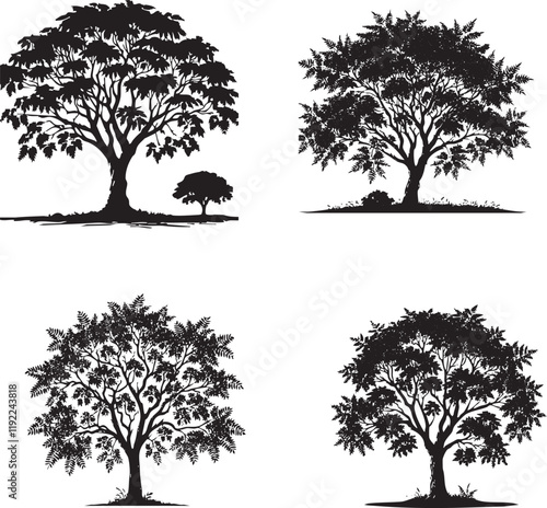 "Detailed Vector Silhouettes of the Sandalwood Tree in High-Quality Monochrome Art"