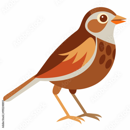 illustration of a song sparrow