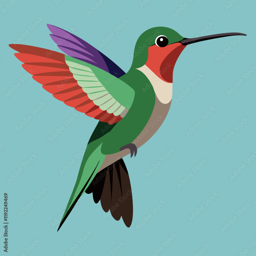 hummingbird in flight hummingbird in flight