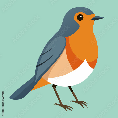 american robin vector