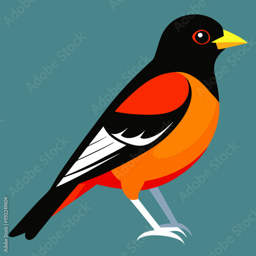 baltimore oriole vector